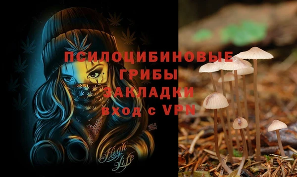 MESCALINE Аркадак